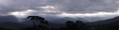 Home of Live Wire Sculptures artist on the South Coast of NSW overlooking the mountains of Wadbilliga National Park