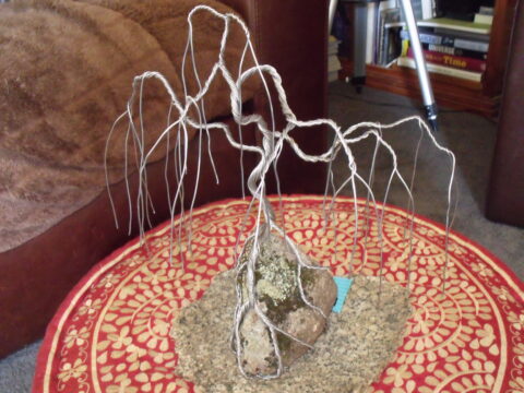 Metal scuplture of Bonsai willow tree on granite boulder