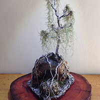 Wire and Air Fern Bonsai Tree Sculpture