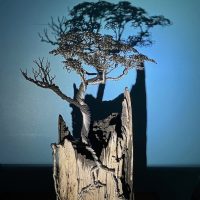 How do I make my wire tree sculptures with other recycled material?