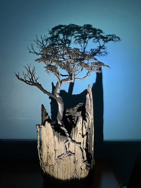 'Once Was, Will Be Again' recycled wood and wire tree sculpture floodlit at night with blue background alternate shot